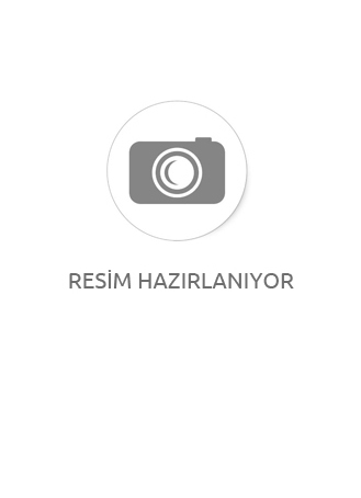 Gold Wings Premium Kuşlar İçin Enerji Bloğu Gaga Taşı Portakallı – Kuşlar İçin Ödül